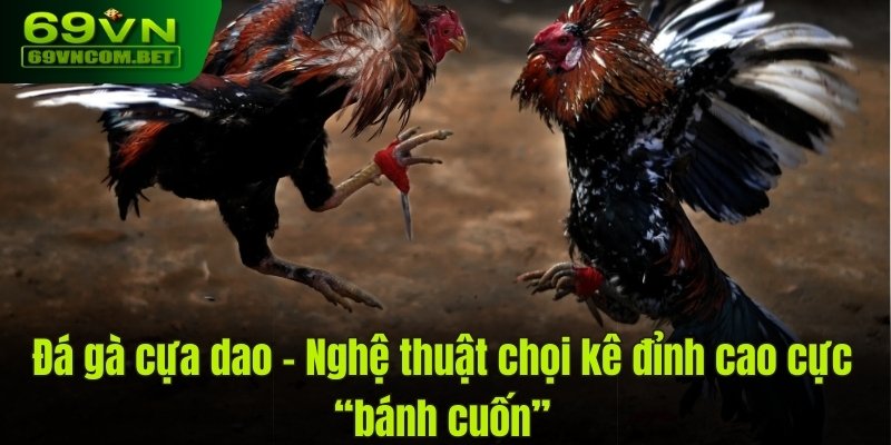 đá gà cựa dao