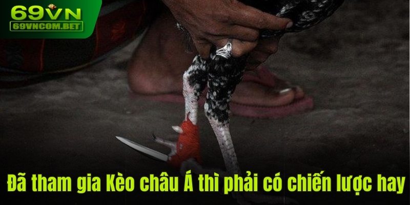 Bỏ túi các mẹo cao thủ khi chơi đá gà cựa sắt